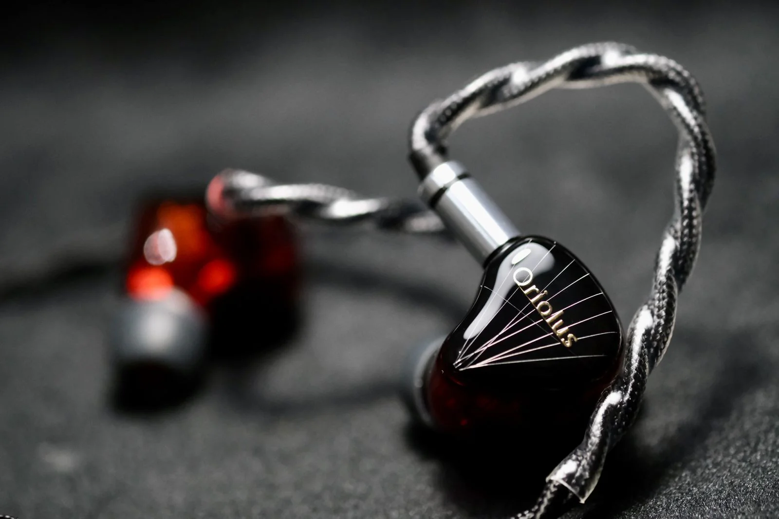 Oriolus Traillii JP Black and Red